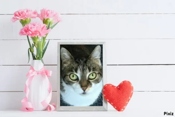 Andachtsbild von Tanja mit Timmy im Herzen 