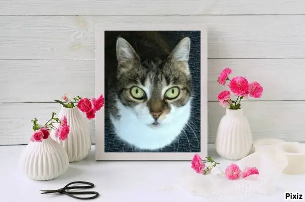 Andachtsbild von Tanja mit Timmy im Herzen