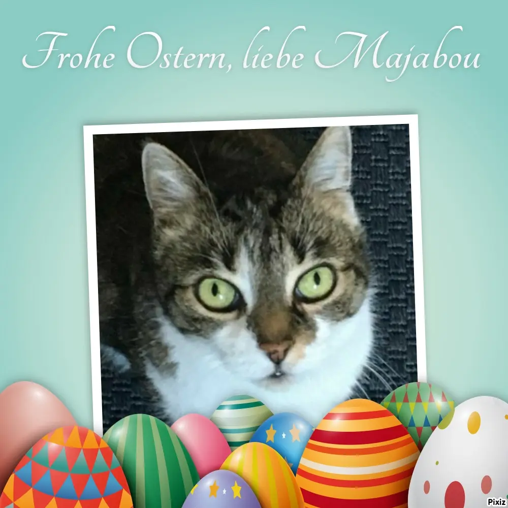 Andachtsbild von Tanja mit Timmy im Herzen