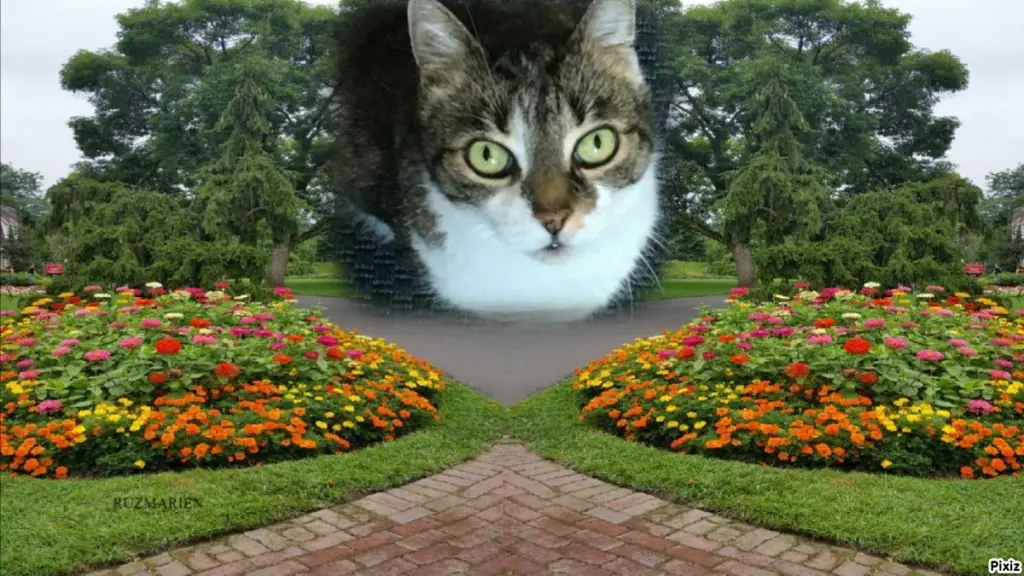 Andachtsbild von Tanja mit Timmy im Herzen 