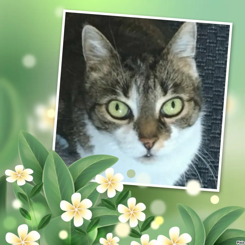 Andachtsbild von Tanja mit Timmy im Herzen 