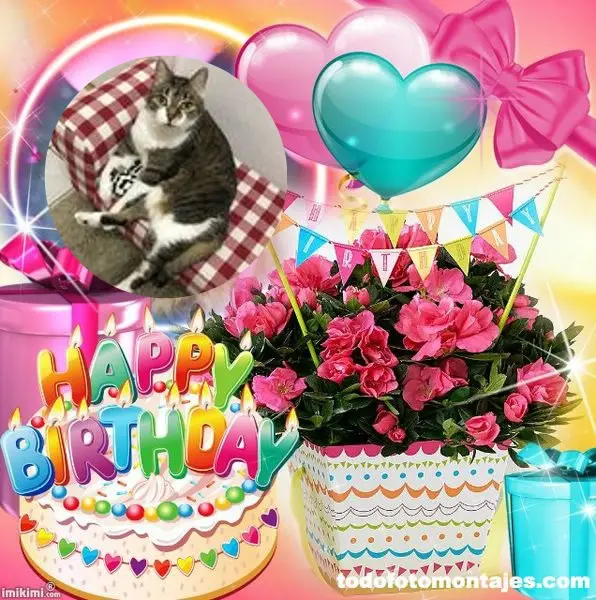 Andachtsbild von 15.Geburtstag❤️❤️❤️