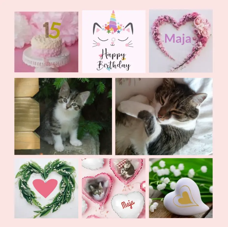 Andachtsbild von Geburtstagsrosen für Maja 