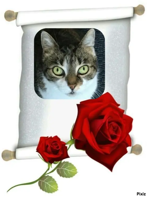 Andachtsbild von Tanja mit Timmy im Herzen 