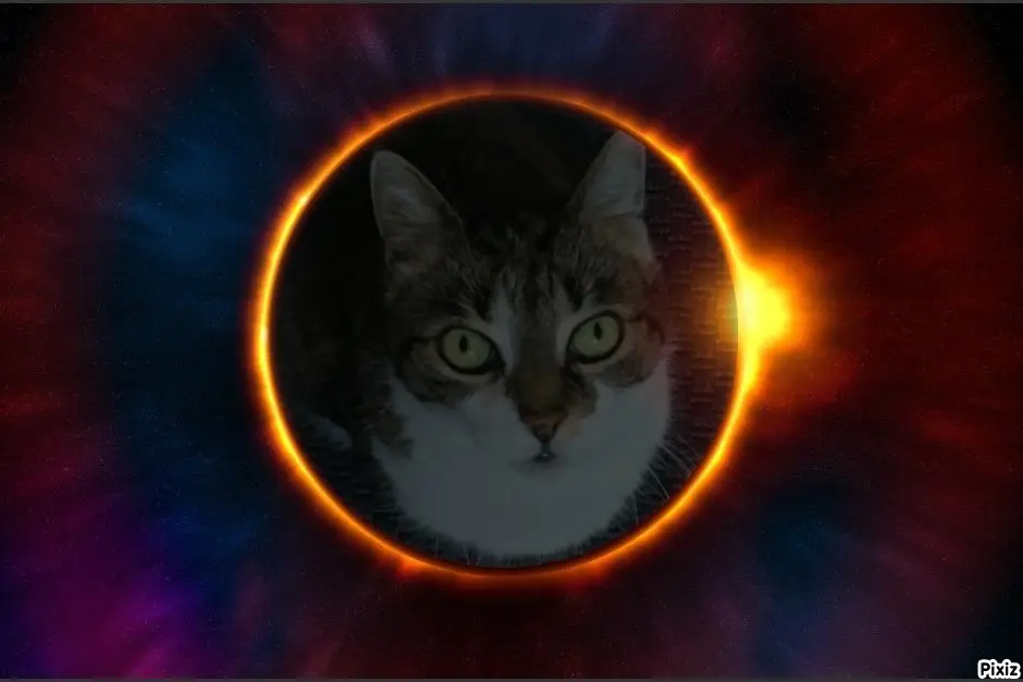 Andachtsbild von Tanja mit Timmy im Herzen 