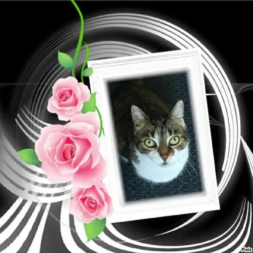 Andachtsbild von Tanja mit Timmy im Herzen 