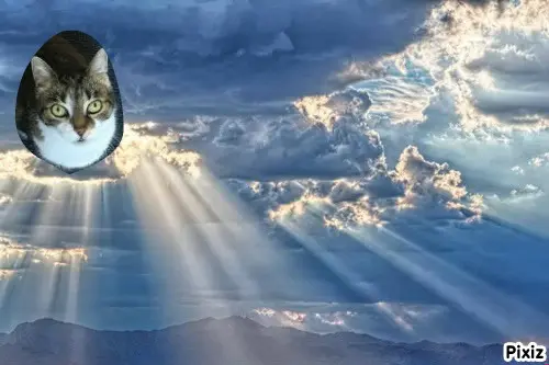 Andachtsbild von Tanja mit Timmy im Herzen