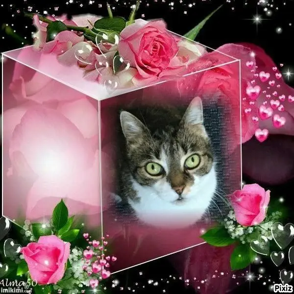 Andachtsbild von Tanja mit Timmy im Herzen