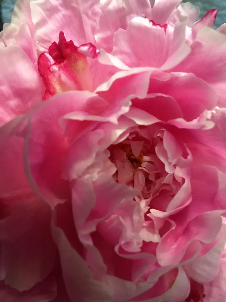 Andachtsbild von  ❤️♥★ GEDENKTAGE ★♥❤️