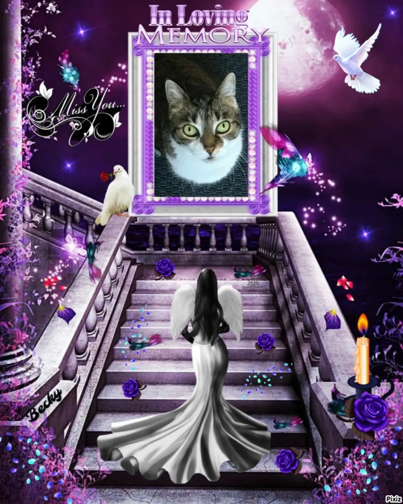 Andachtsbild von Tanja mit Timmy im Herzen 