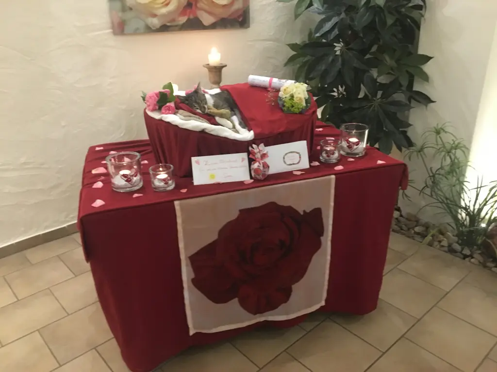 Andachtsbild von ❤️♥★ Maja ❤️ zum Gedenken - 21.06.19 Rosengarten Badbergen ★♥❤️