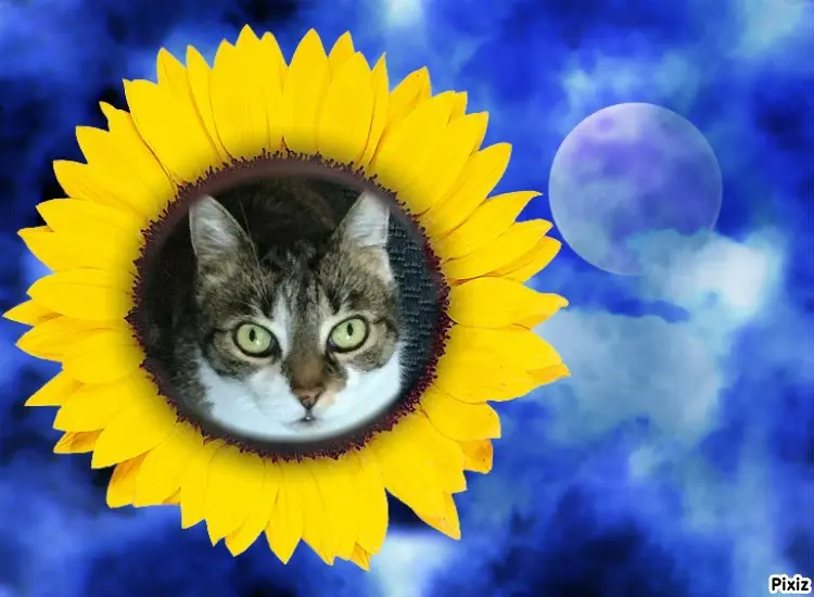 Andachtsbild von Tanja mit Timmy im Herzen 