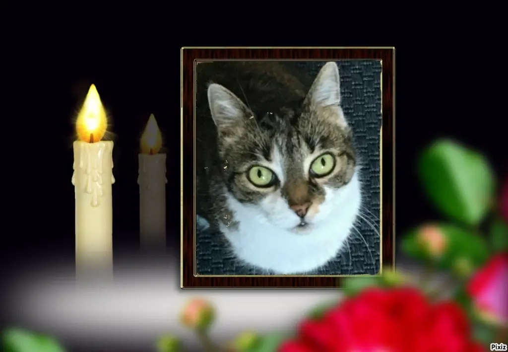 Andachtsbild von Tanja mit Timmy im Herzen