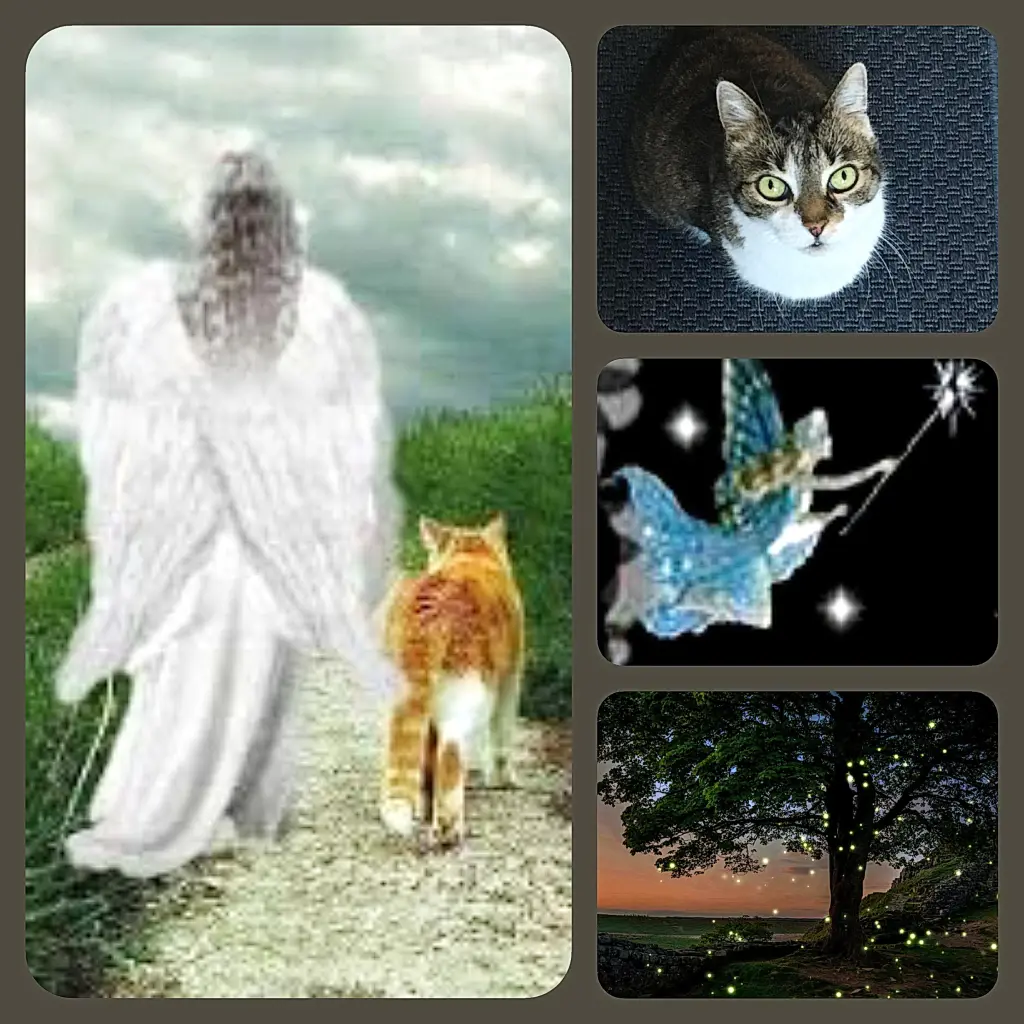 Andachtsbild von Sabine mit Kaspar tief im Herzen☸ڿڰۣ❤️