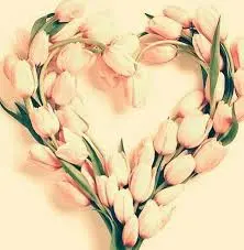 Andachtsbild von ❤️♥★ Maja ❤️ zum Gedenken - 37 Monate ★♥❤️