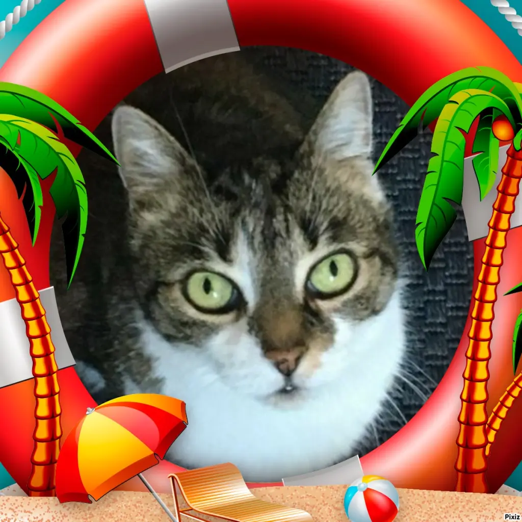 Andachtsbild von Tanja mit Timmy im Herzen