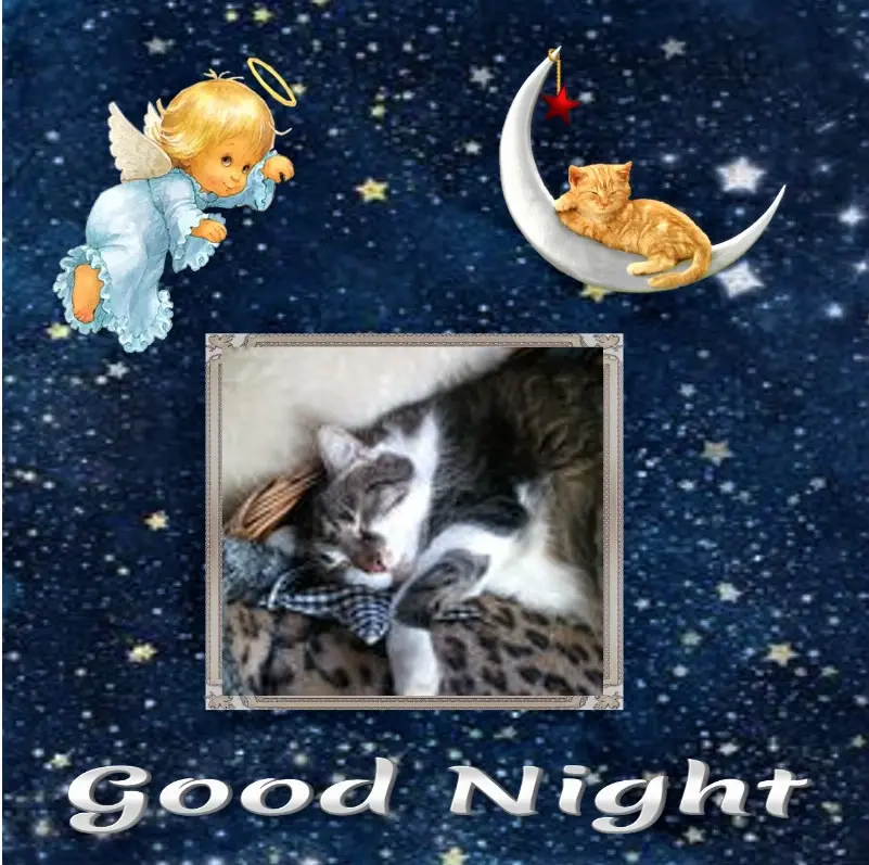 Andachtsbild von Gute Nacht❤️❤️❤️Mauschen❤️❤️❤️