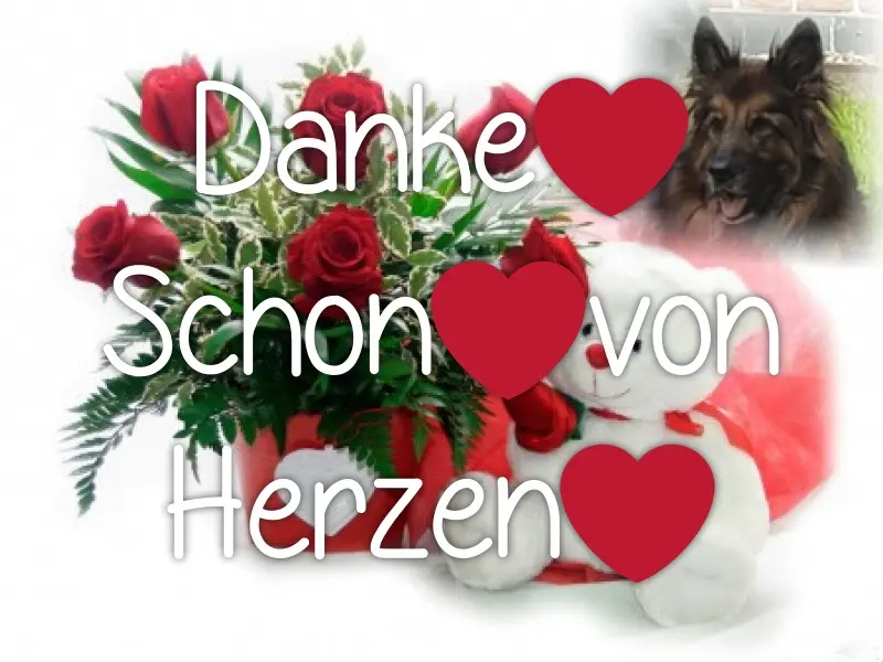 Andachtsbild von Danke Schon❤️❤️❤️❤️❤️❤️❤️❤️❤️❤️❤️❤️❤️