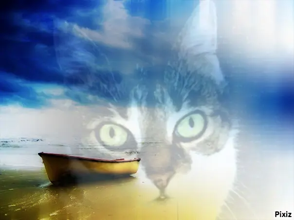 Andachtsbild von Tanja mit Timmy im Herzen 