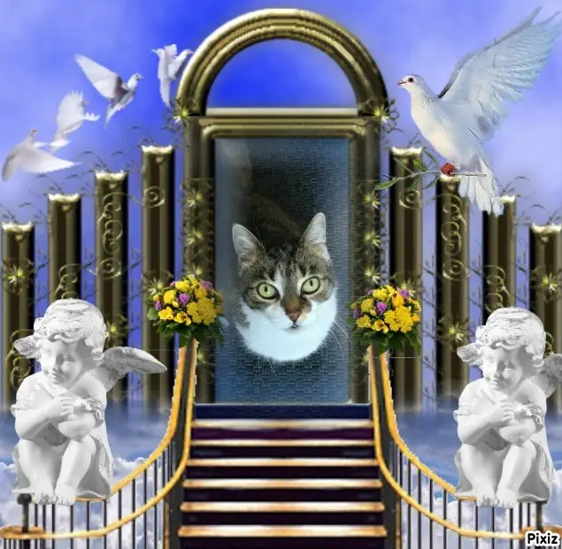 Andachtsbild von Tanja mit Timmy im Herzen 