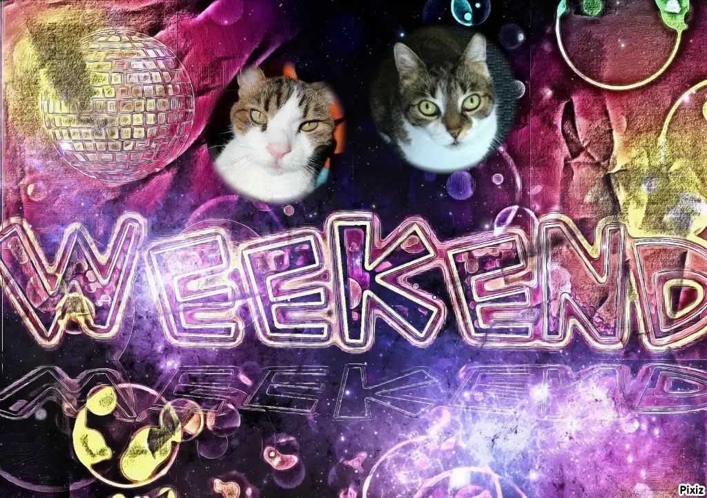 Andachtsbild von Tanja mit Timmy im Herzen 