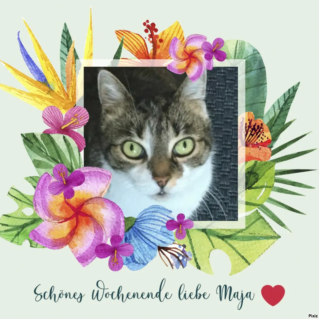 Andachtsbild von Tanja mit Timmy im Herzen 