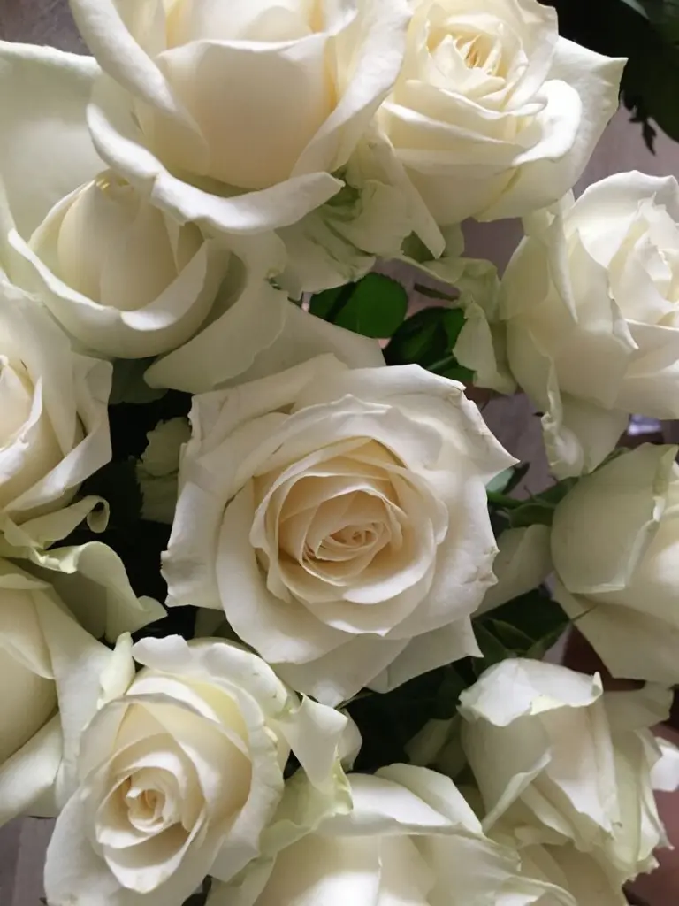 Andachtsbild von Anja an meine kleine  GELIEBTE ❤️ BOU ❤️