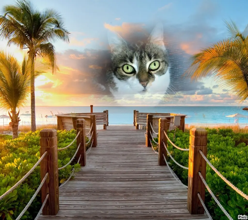 Andachtsbild von Tanja mit Timmy im Herzen