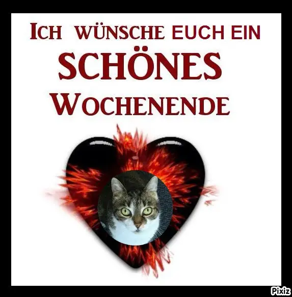 Andachtsbild von Tanja mit Timmy im Herzen 