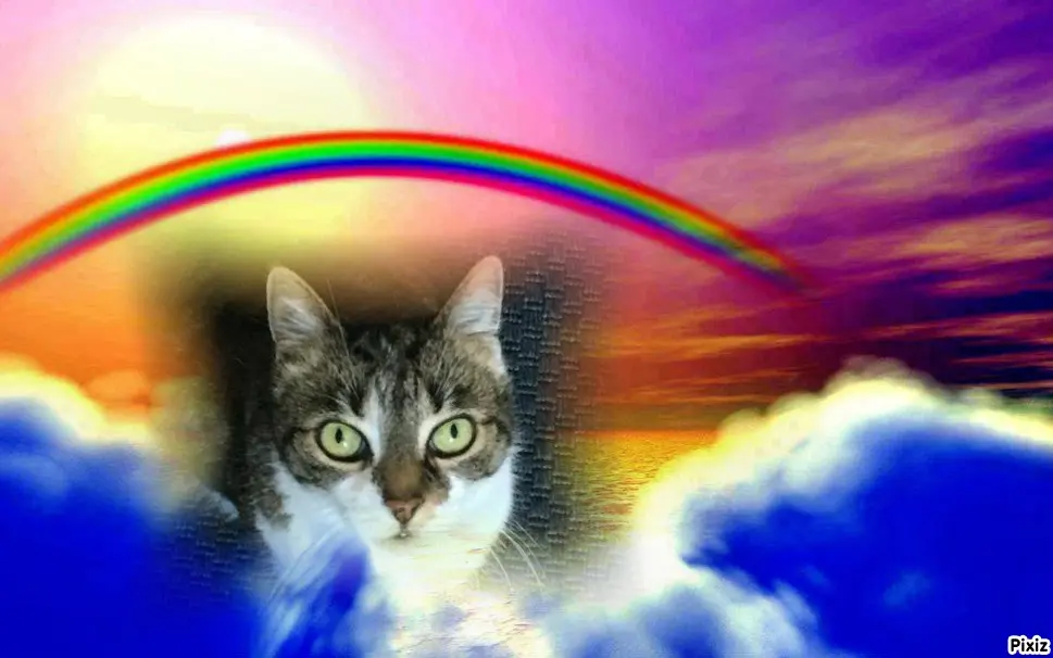 Andachtsbild von Tanja mit Timmy im Herzen 