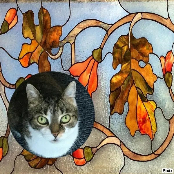 Andachtsbild von Tanja mit Timmy im Herzen 