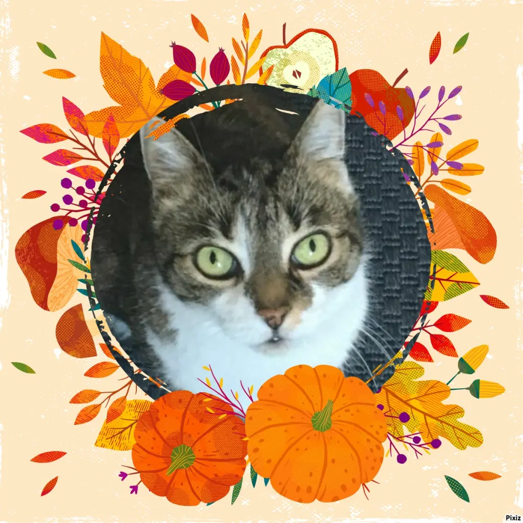 Andachtsbild von Tanja mit Timmy im Herzen 