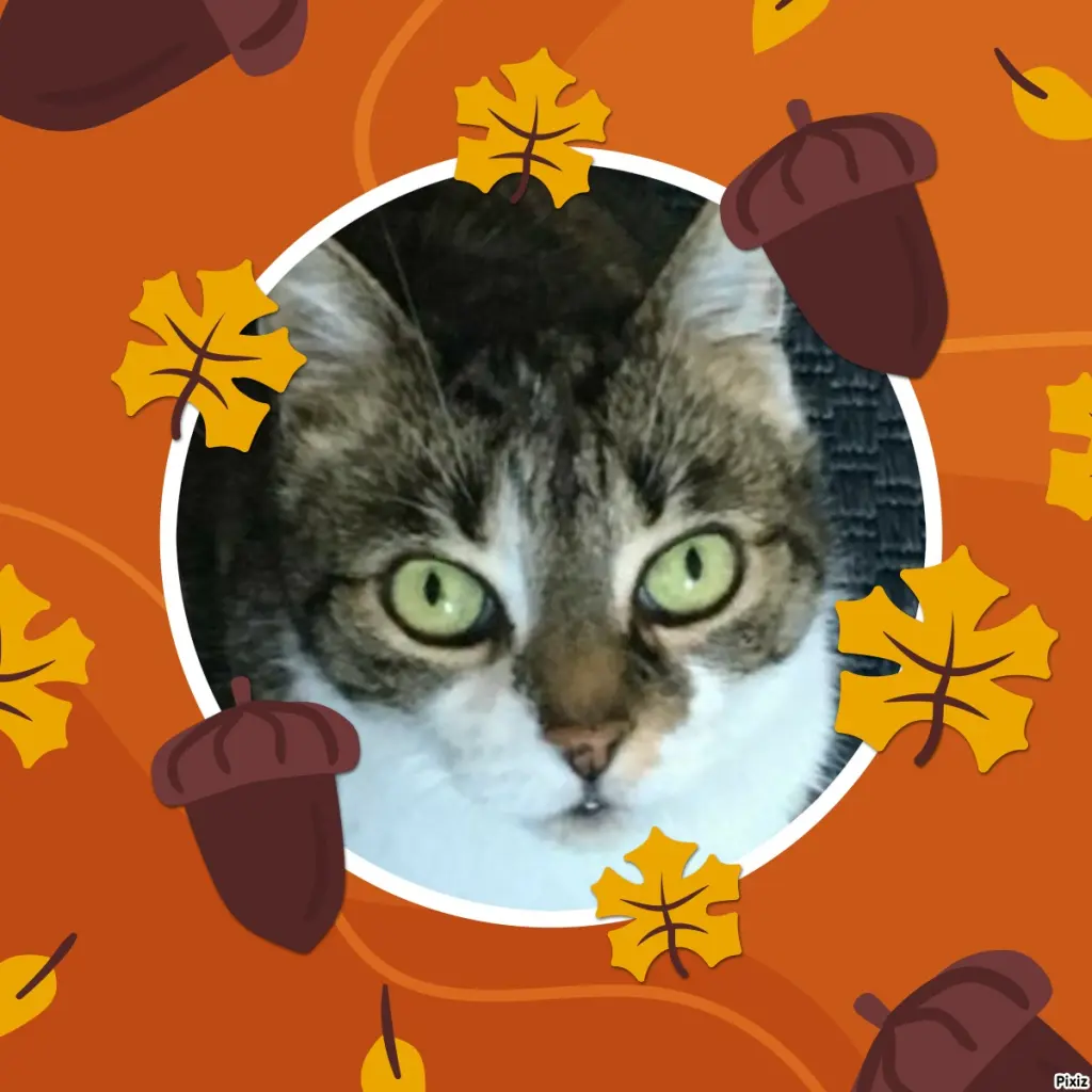 Andachtsbild von Tanja mit Timmy im Herzen 