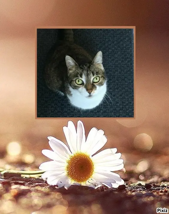 Andachtsbild von Tanja mit Timmy im Herzen