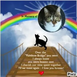 Andachtsbild von Tanja mit Timmy im Herzen