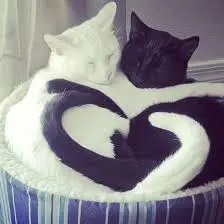 Andachtsbild von Corinna mit Emma, Pummelchen und anderen Sternlein im Herzen