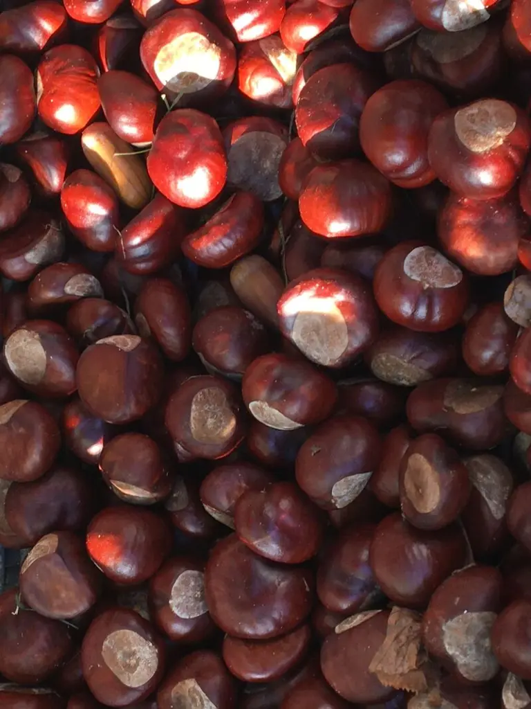 Andachtsbild von  ❤️☆¸.•*¨*•.¸✬¸.•*¨*•.☆ Himmelspost ☆¸.•*¨*•.¸✬¸.•*¨*•.☆ ❤️