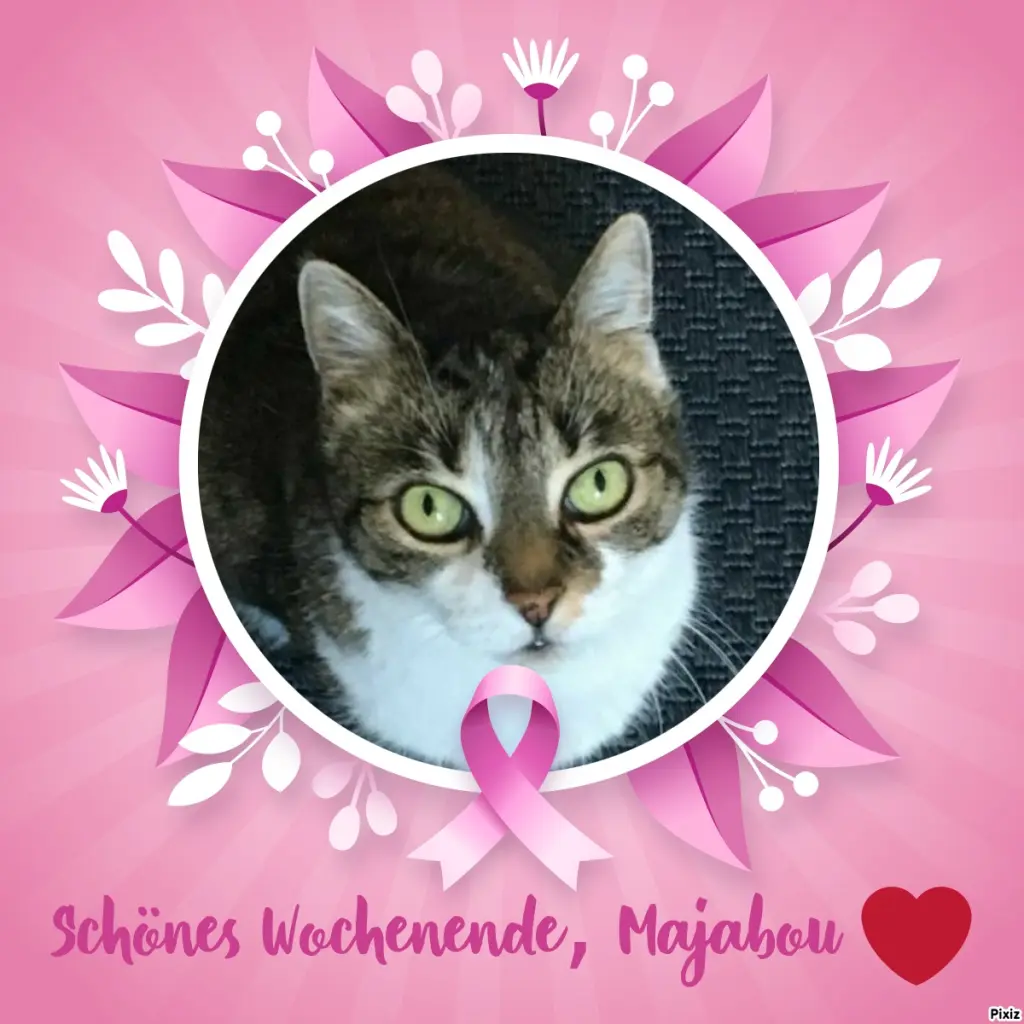 Andachtsbild von Tanja mit Timmy im Herzen 