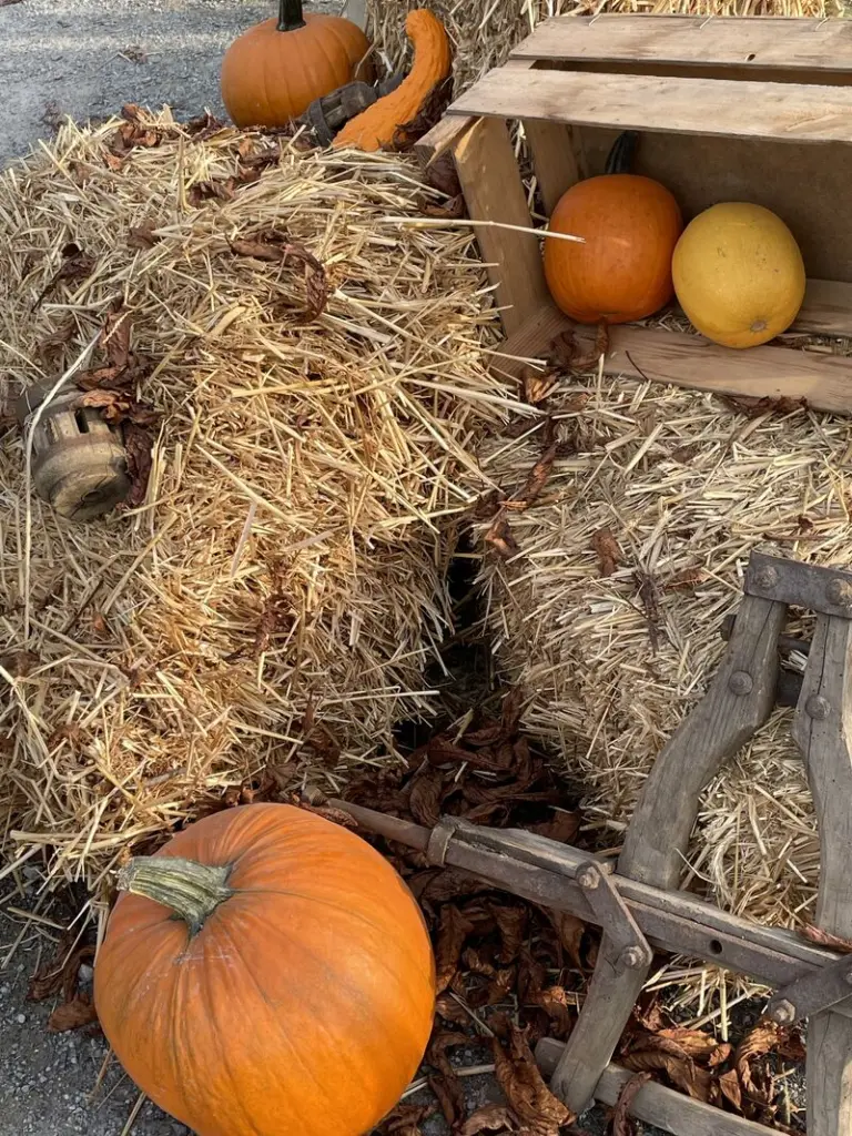 Andachtsbild von ✬¸.•*¨*•.☆ ❤️ Deiner Familie ❤️✬¸.•*¨*•.☆