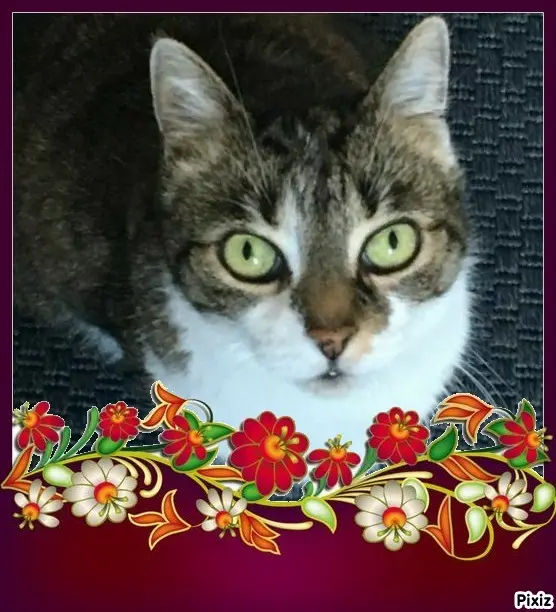 Andachtsbild von Tanja mit Timmy im Herzen 