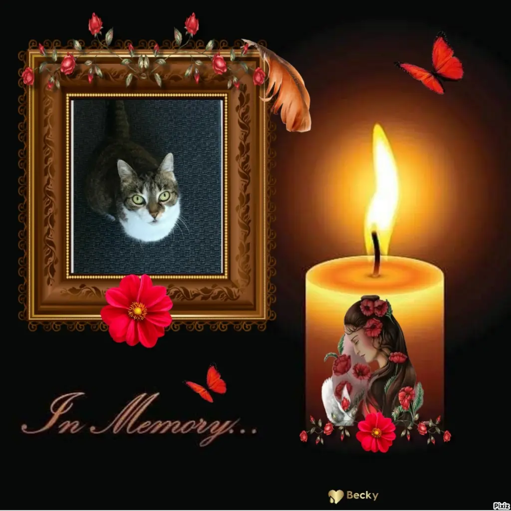 Andachtsbild von Tanja mit Timmy im Herzen 