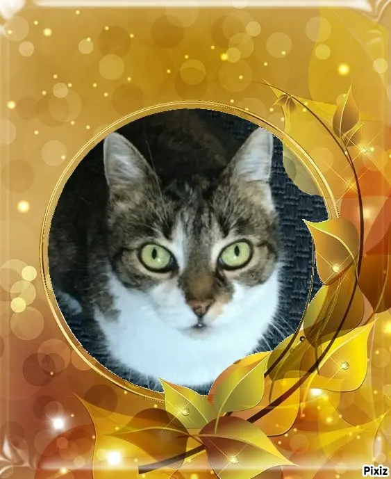 Andachtsbild von Tanja mit Timmy im Herzen 