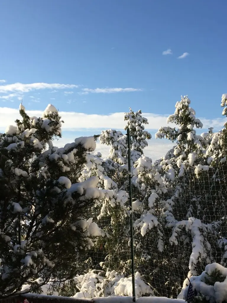 Andachtsbild von :**:.☆*.:｡.✬.Grüße an unser Sternchen❤️.✬.｡.:* ☆:**:.: