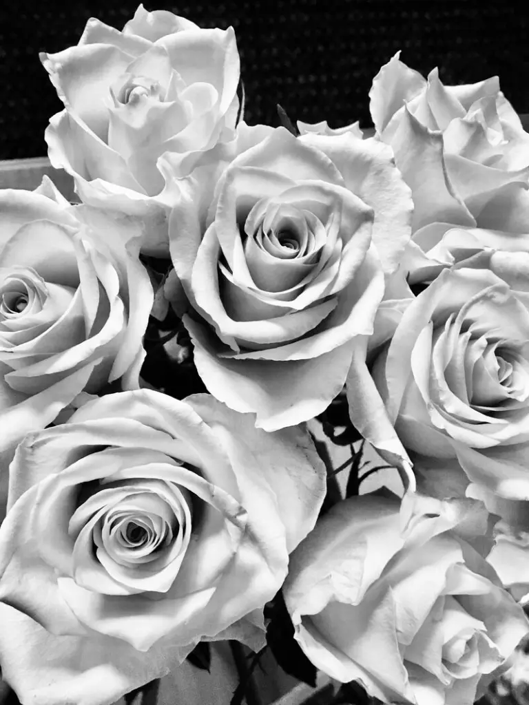 Andachtsbild von ✬¸.•*¨*•.☆Von der Familie zum Ewigkeitssonntag ☆¸.•*¨*•.✬