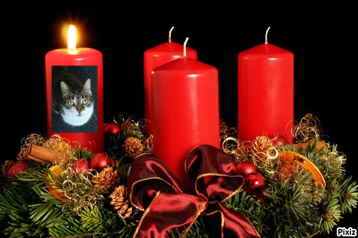 Andachtsbild von Tanja mit Timmy im Herzen 