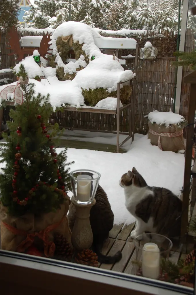 Andachtsbild von Unbekannt