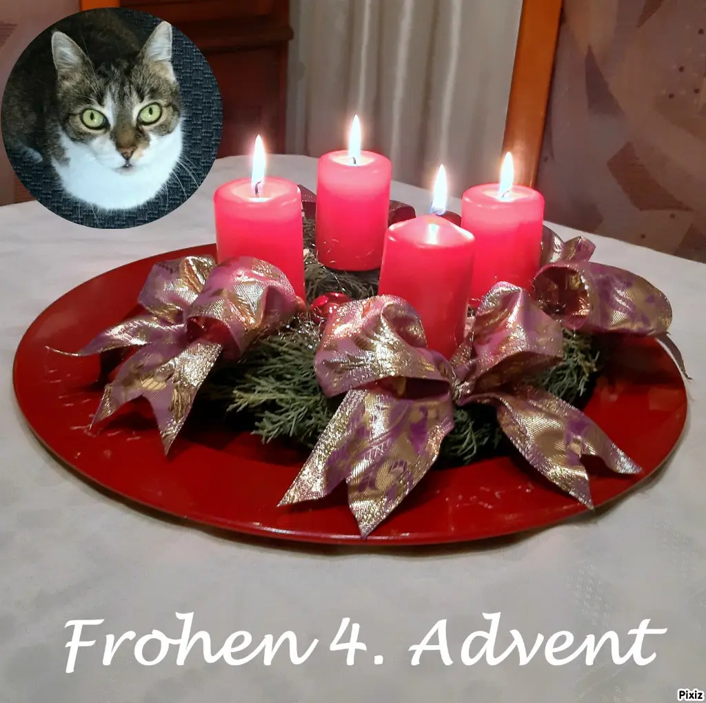 Andachtsbild von Tanja mit Timmy im Herzen 