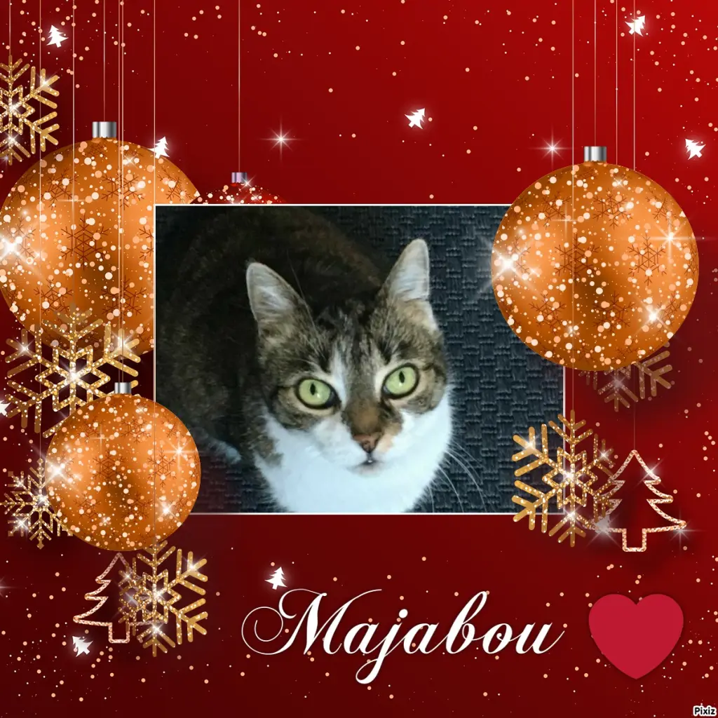 Andachtsbild von Tanja mit Timmy im Herzen 