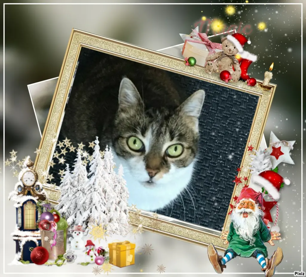 Andachtsbild von Tanja mit Timmy im Herzen 