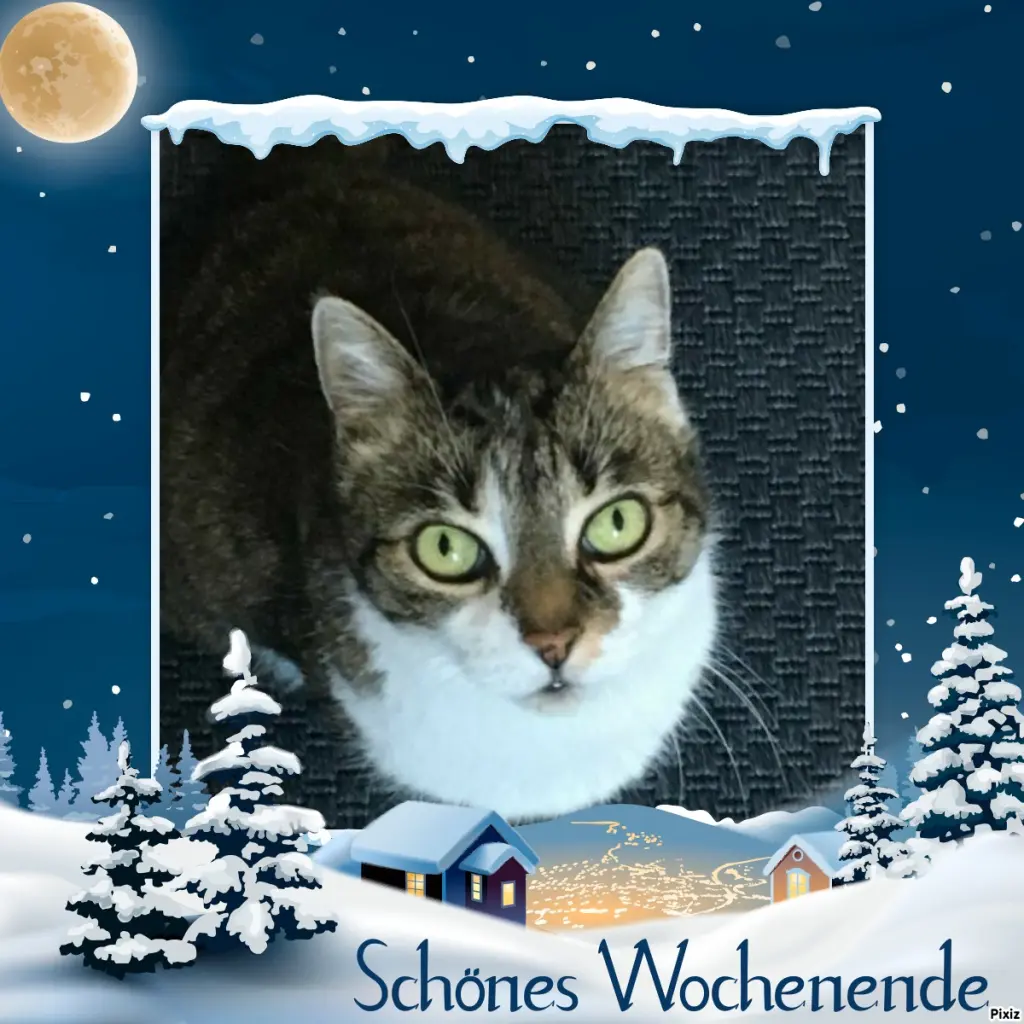 Andachtsbild von Tanja mit Timmy im Herzen 